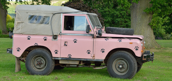 Land Rover Series 3 Pink (1982)